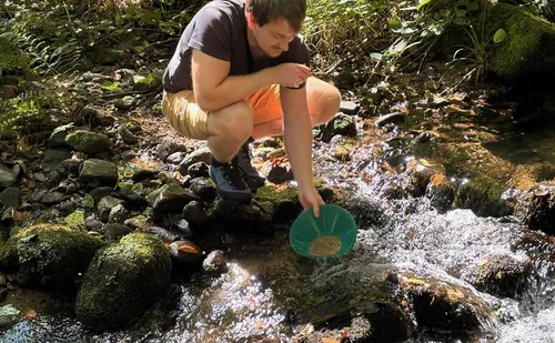 Person panning for gold in a stream.