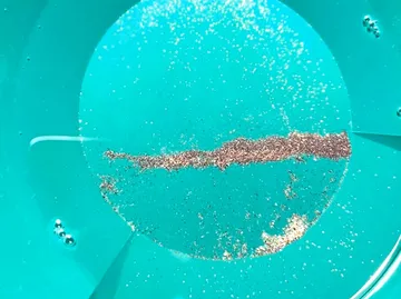Gold flakes in green pan with water.