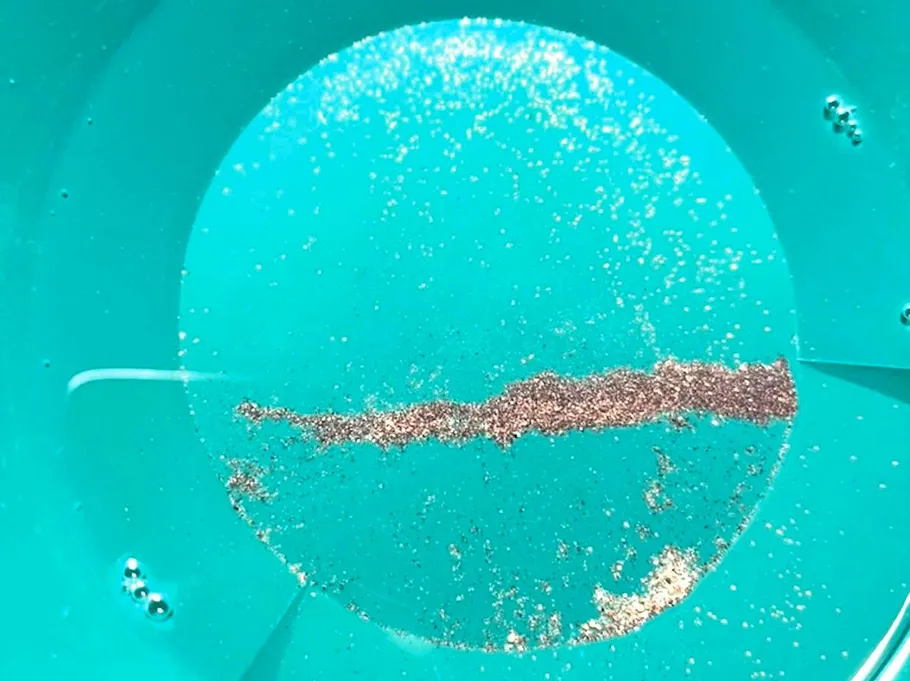 Goldflocken in grüner Pfanne werden sortiert.