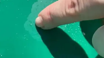 Finger pointing at tiny spots on green surface.