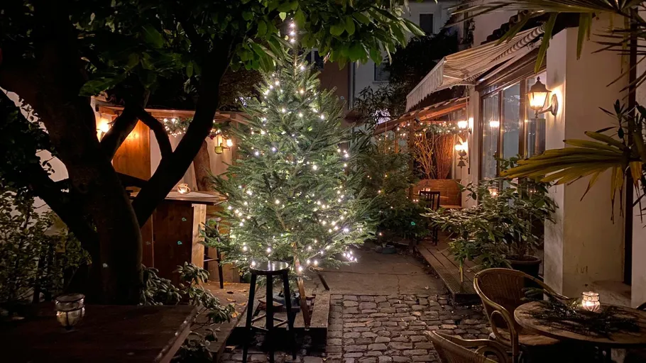 Lit Christmas tree in a cozy outdoor courtyard.