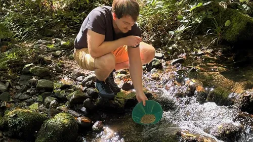 Man panning for gold in forest creek.