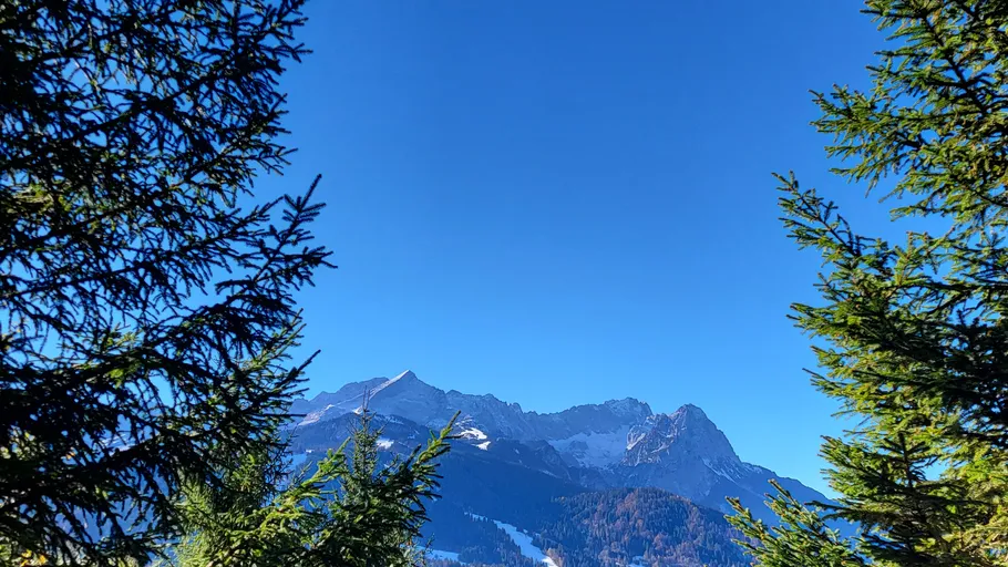 Mountain view framed by evergreen trees.