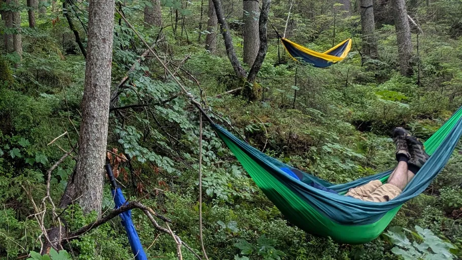 Person in hammock in forest.