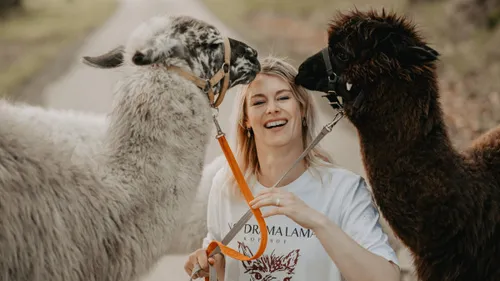 Woman holding two llamas on a path.