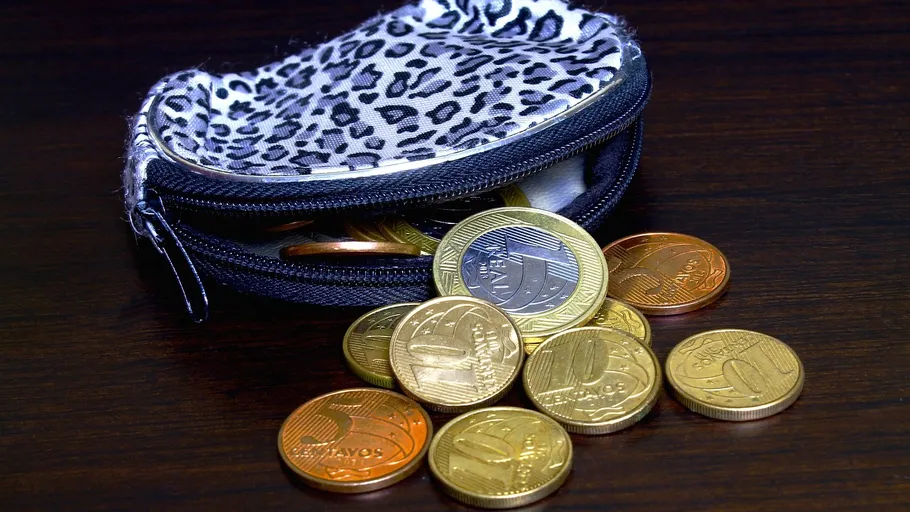 Coins spilling from leopard-print coin purse.