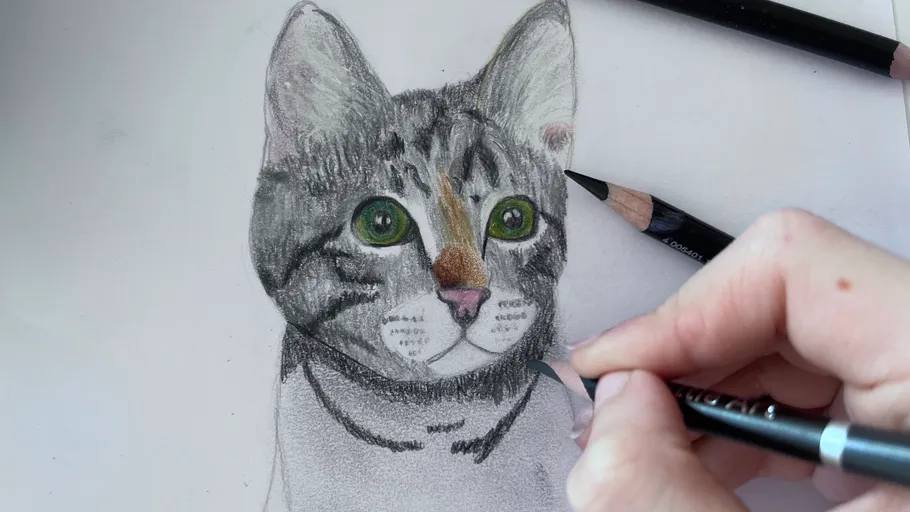 Hand zeichnet Katze mit Buntstiften.