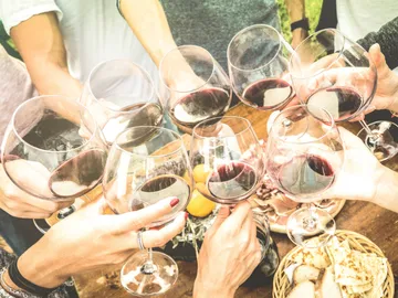 Drinks (wine glasses) are raised while people party outdoors.