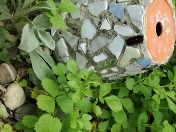 Mosaikbehälter steht zwischen grünen Pflanzen im Garten.