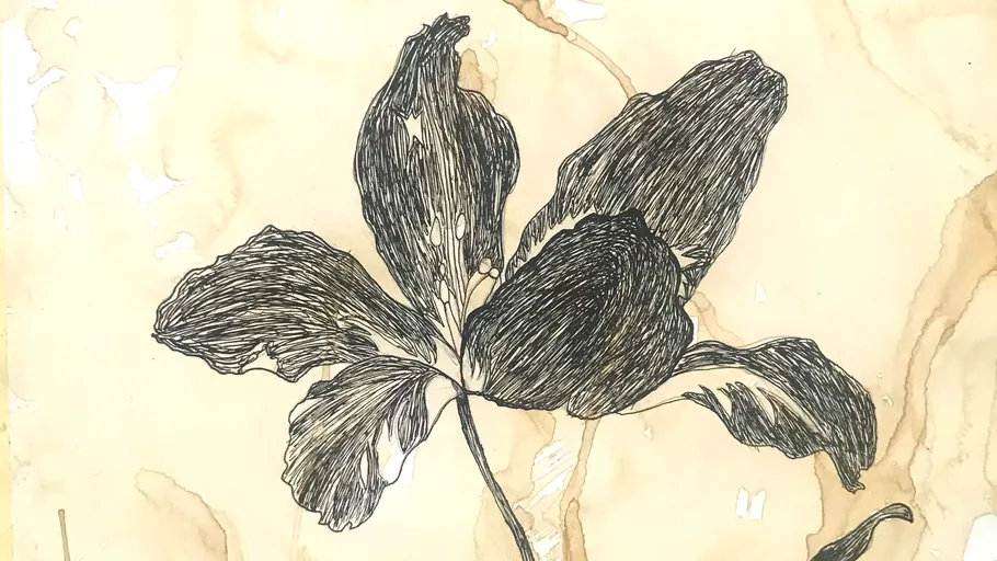 Black flower drawing on textured paper.