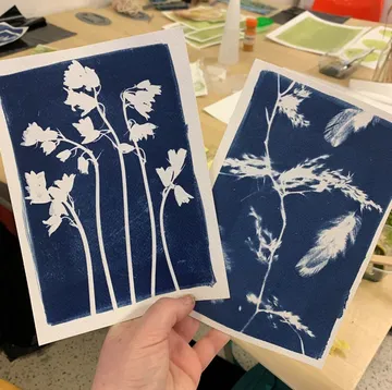 Hand holding two cyanotype prints of plants.