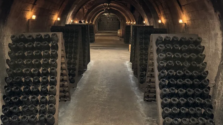Wine bottles stacked in an underground cellar.