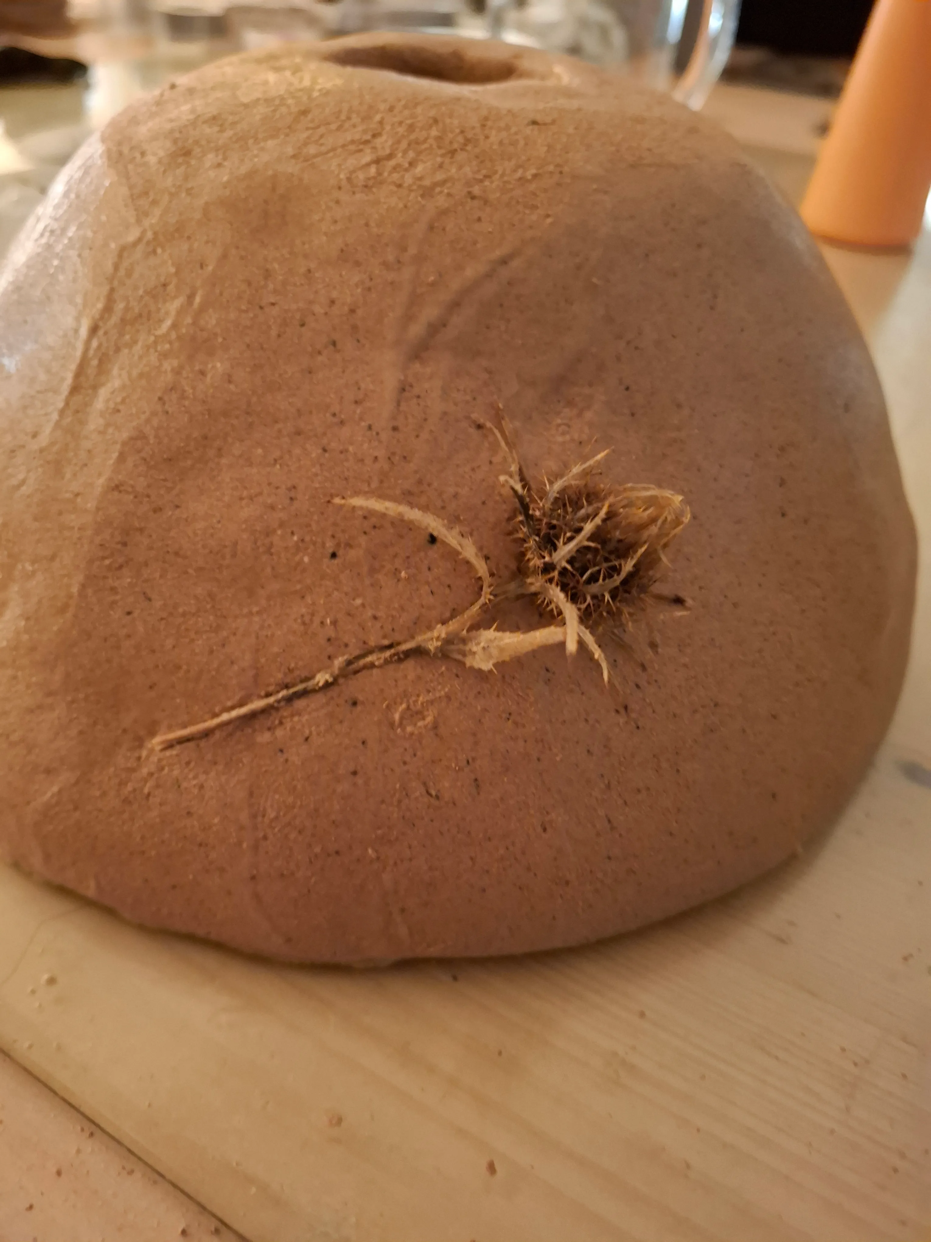 Felsbrocken mit Wurzel in Holzumgebung.