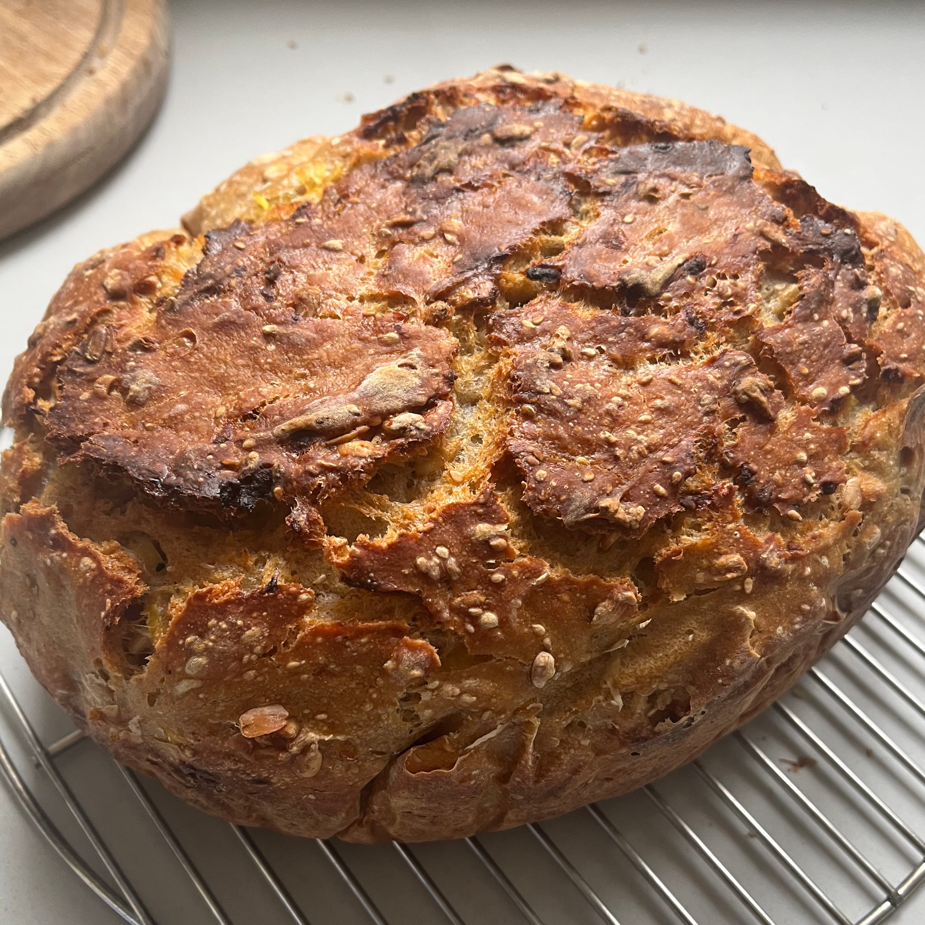 Backkurs in Berlin: Sauerteigbrot selber backen