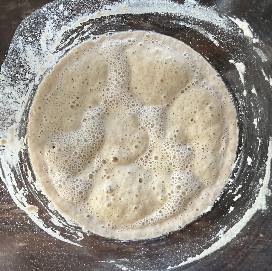 Sprudelnder Sauerteigansatz in einer Glasschüssel.