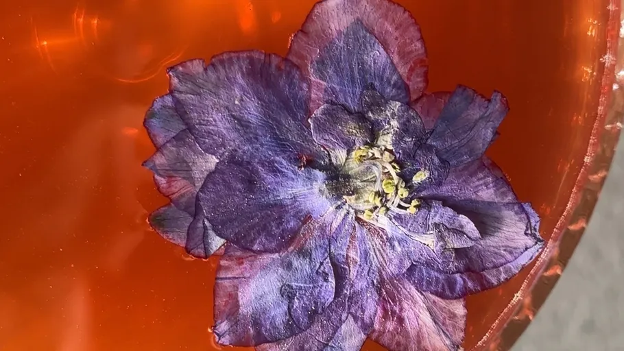 Blaue Blume schwimmt auf oranger Flüssigkeit.