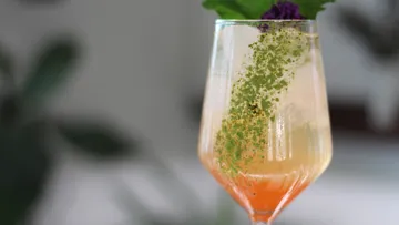 Colorful cocktail with garnish in elegant glass.