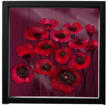Rote Mohnblumen in schwarzem Rahmen.