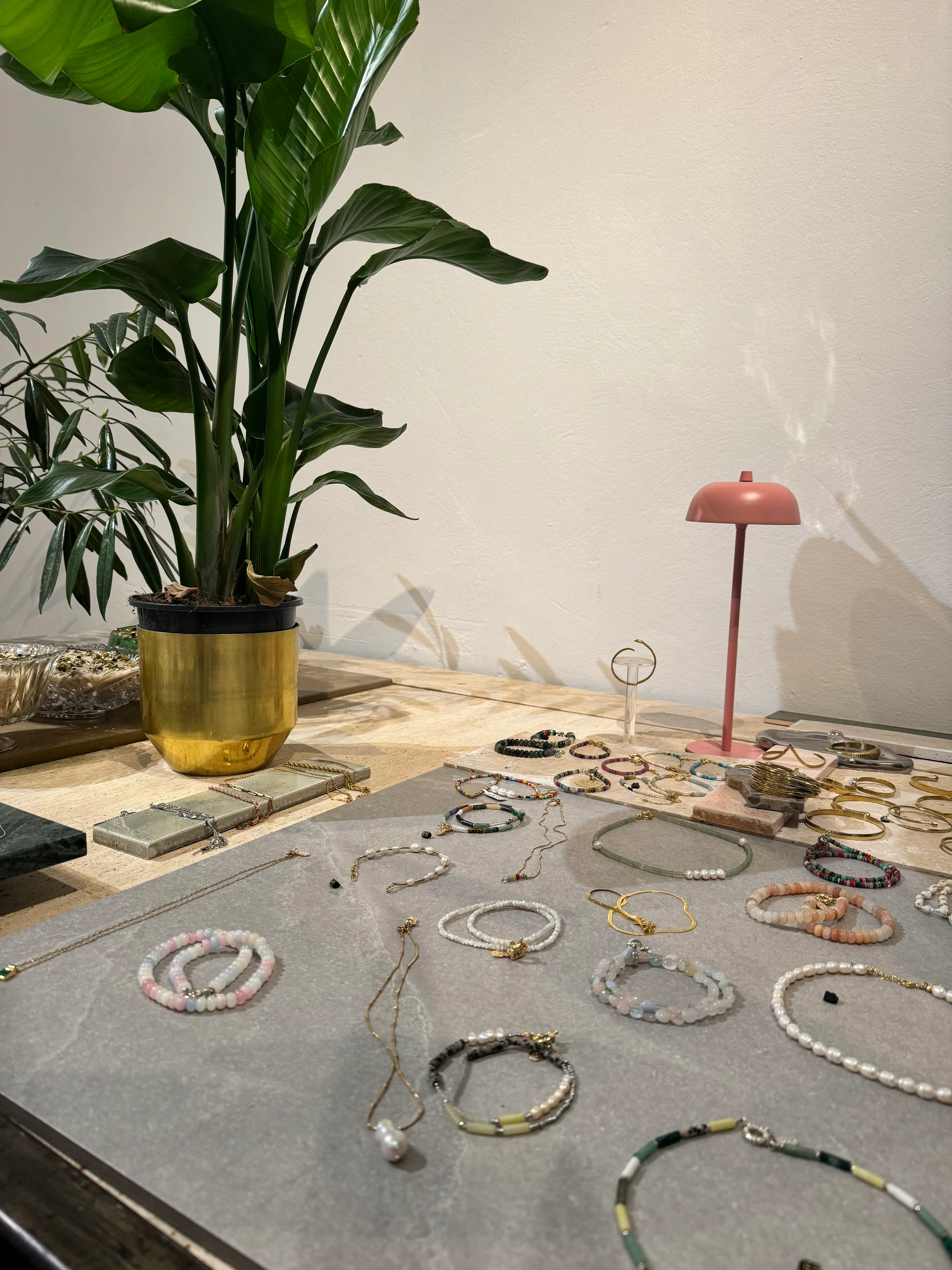 Schmuck auf Tisch neben Topfpflanzen ausgestellt.