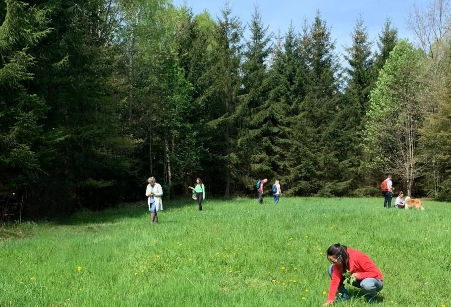 People foraging in a forest clearing.