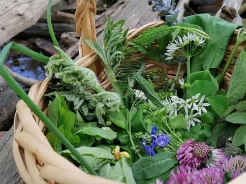 Basket filled with fresh leafy greens and flowers.
