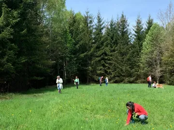 Menschen erkunden eine Wiese nahe Wald.
