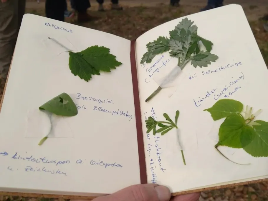Notebook with labeled plant samples outdoors.