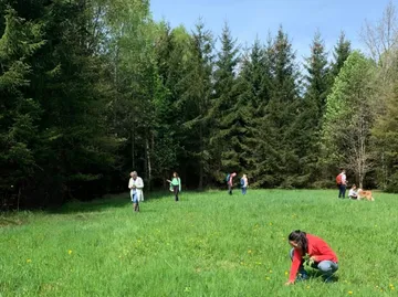 Personen gehen und knien auf einer Wiese.