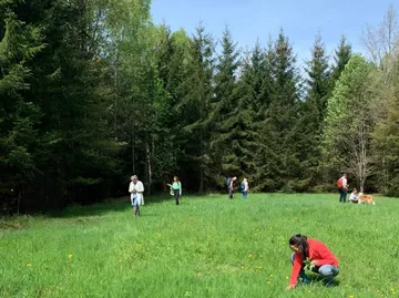 Menschen sammeln Pflanzen auf Wiese nahe Wald.