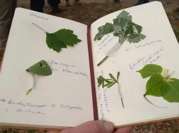Notizbuch mit gepressten Blättern und handschriftlichen Notizen.