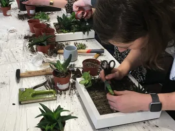 Plants are planted in soil in pots under guidance.