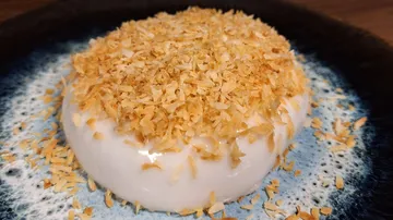 Coconut dessert topped with toasted flakes.