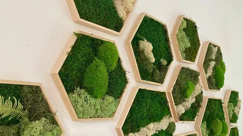 Moss painting workshop in Bottrop (3x honeycomb shape Ø 21/26/31 cm)