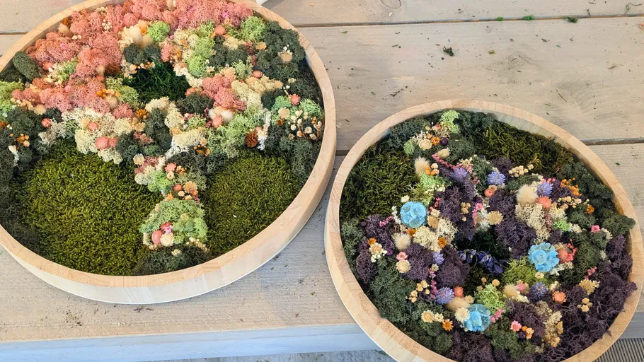 Colorful moss arrangements in wooden bowls on table.