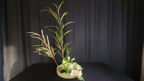 Ikebana-Arrangement vor schwarzem Hintergrund.