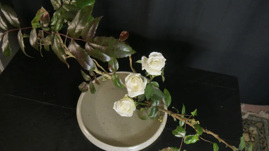 Weiße Rosen in einer Schale arrangiert.