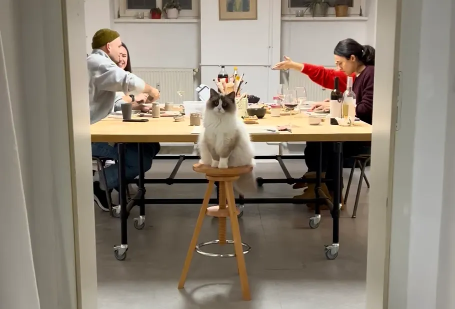 Katze sitzt auf Hocker, Leute essen dahinter.