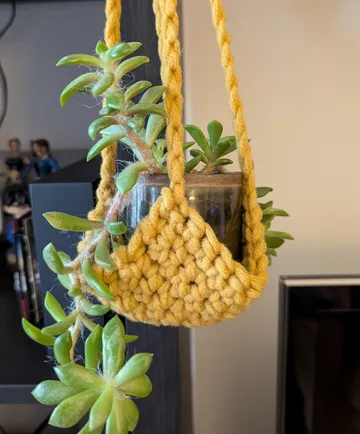 Succulent in glass container with yellow macramé.