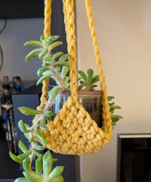 Succulent in glass container with yellow macramé.