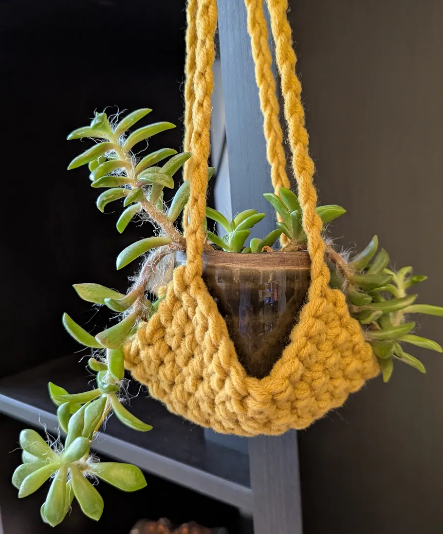 Succulent in yellow macrame hanger on shelf.