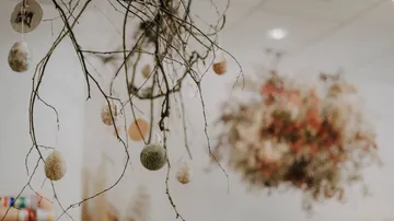 Eggs hanging from branches indoors.