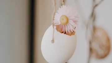 Eierschale hängt mit Blume innen.