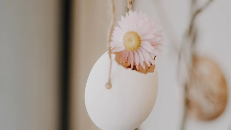 Eierschale hängt mit Blume innen.