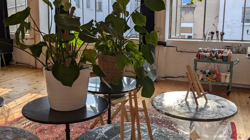 Potted plants on tables in a studio workshop.