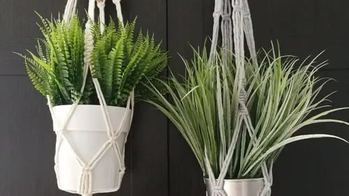 Two hanging plants in macramé holders.