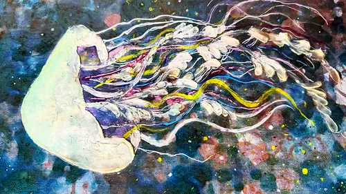 Bunte Qualle schwimmt im dunklen Wasser.