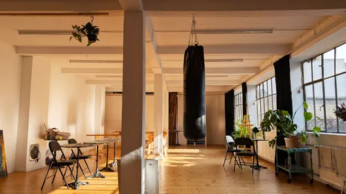 Sunny art studio with punching bag and plants.