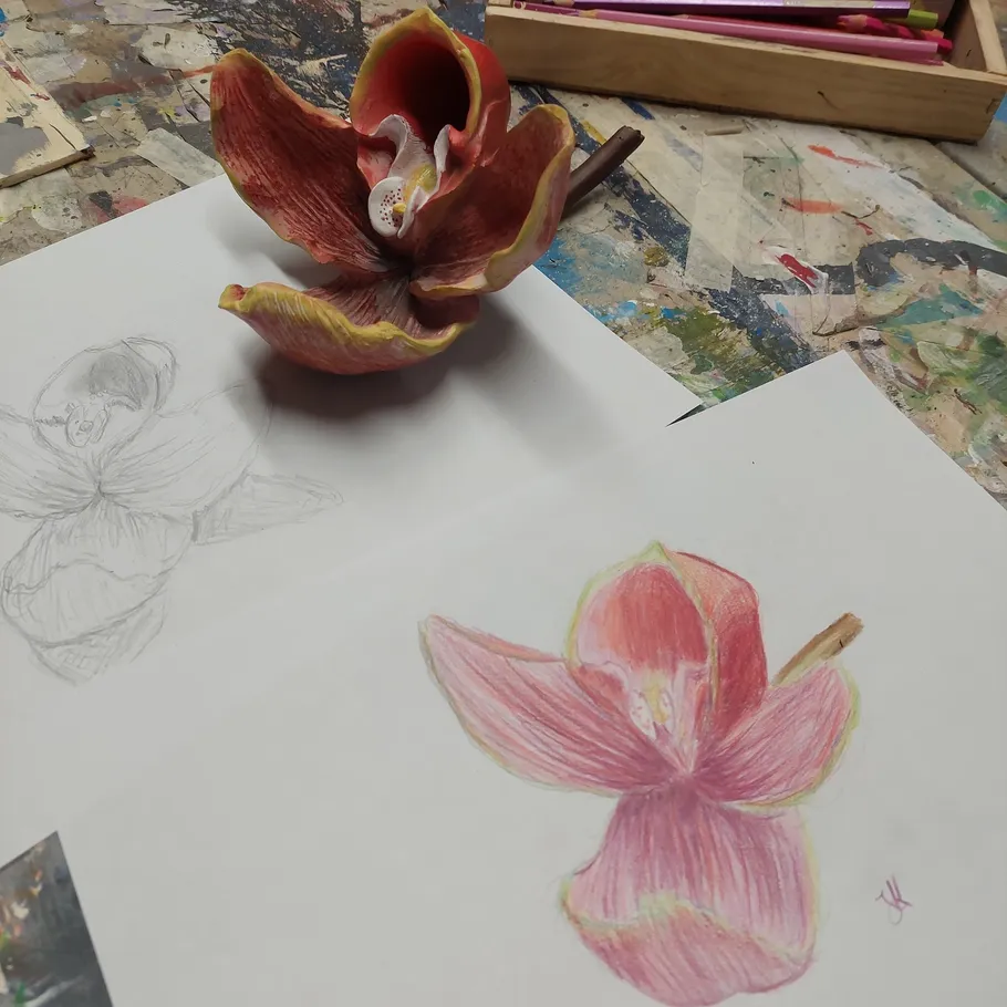 Rote Blume mit Skizzen auf unordentlichem Schreibtisch.