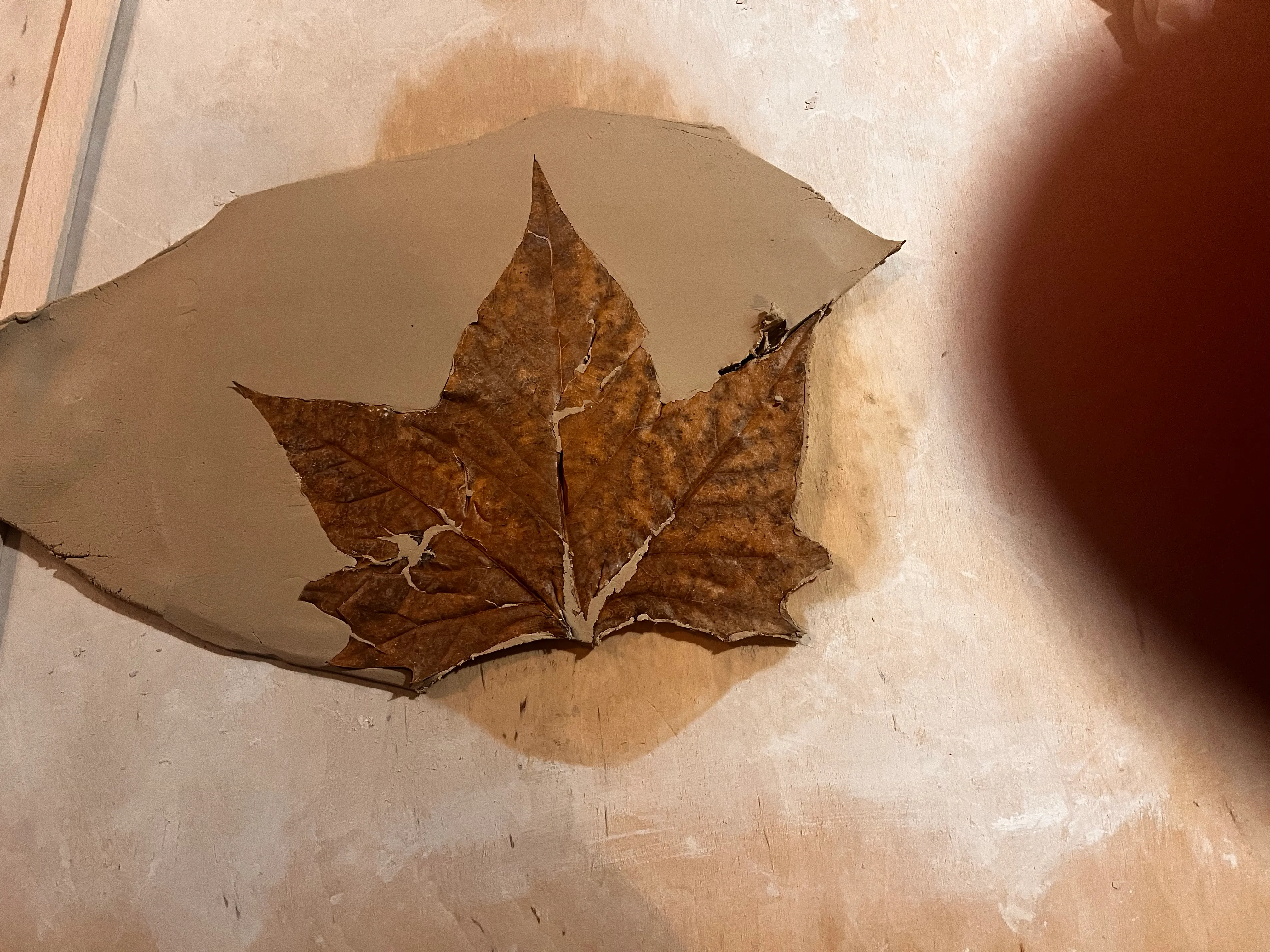 Leaf imprint drying on clay surface.