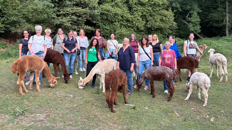 Gruppe von Frauen und Alpakas auf einem Feld.